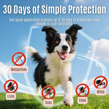 🐾 Protecting Paws, One Drop at a Time | RZXEA™ 30-Day Flea & Tick Protection Drops